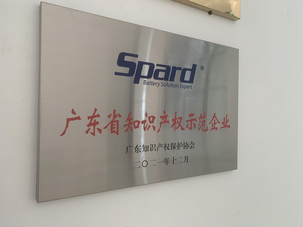 久久久精品中文字幕麻豆发布新能源榮獲2021年度廣東省知識產權示範企業